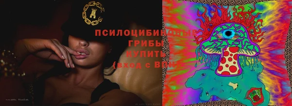 эйфоретик Армянск