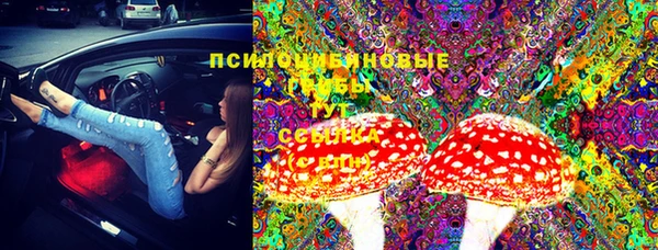 первитин Протвино