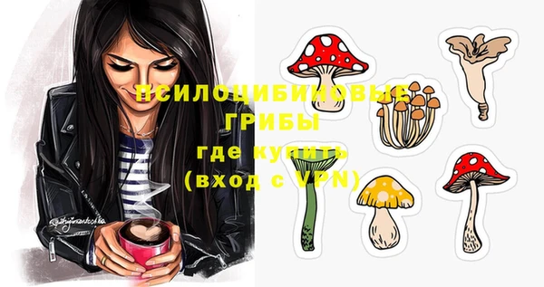 mdpv Балахна